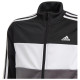 Adidas Παιδικές φόρμες σετ Essentials
